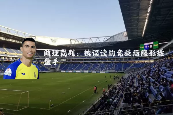 助理裁判：被误读的竞技场隐形操盘手